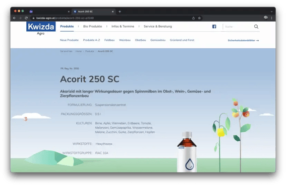 Streamlining Data Management and Website Development